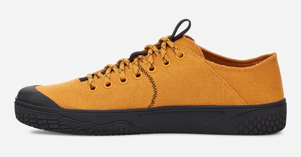 Teva Terra Canyon Sneakers Dam Blommiga Orange | Sverige-4618